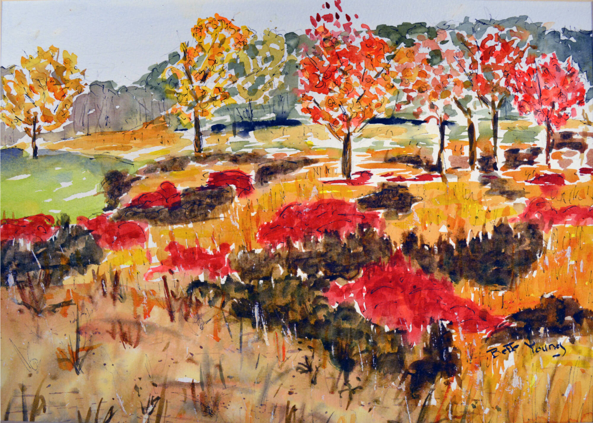 Fall colored landscape of grassy areas with trees in fall colors.